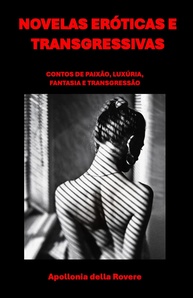 Novelas Eróticas Transgressivas: Paixão, Luxúria e Fantasia - imagem 1