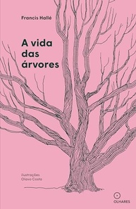 Desvende os Segredos das Árvores: Uma Jornada Fascinante com Francis Hallé - imagem 2