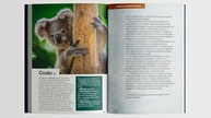 Animais do Mundo: Uma Jornada Fascinante Pelo Reino Animal - imagem 5
