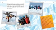 Férias na Antártica: Uma Aventura Familiar Inesquecível - imagem 4