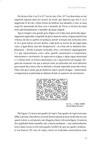 Física em 12 Lições: Desvende o Universo com Richard Feynman - imagem 5