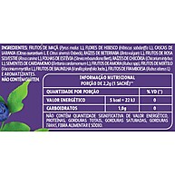 Chá Leão Frutas e Flores: Amora, Mirtilo e Baunilha 10 Sachês - imagem 4
