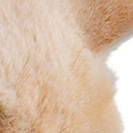 Fonte de Água Automática para Gatos e Cães 2.5L – Bebedouro Silencioso e com Filtro COIBEU - imagem 1