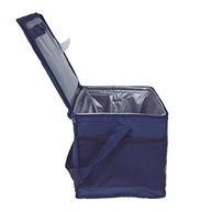 Mor Bolsa Térmica 10L - Mantenha Sua Bebida Fresca por Mais Tempo com Estilo - imagem 5