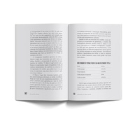 De Galinha a Gavião: Desvende os Segredos da Economia Brasileira - imagem 4