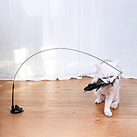 Varinha Gato com Ventosa: Diversão Garantida! - imagem 1