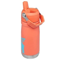 Garrafa Stanley IceFlow Flip Straw 500ml - Isolada, à Prova de Vazamento, para Crianças - Sabor Grapefruit - imagem 5