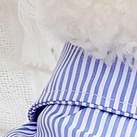 Roupa Pet Verão: Conforto e Estilo para Cães e Gatos! - imagem 2