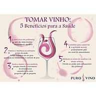 Panizzon Ancellotta: Kit 2 Vinhos Tintos da Serra Gaúcha - imagem 2