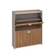 Sapateira Closet 2 Gavetas Basculantes - Organize até 12 Pares com Estilo e Praticidade - imagem 1