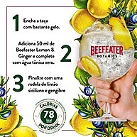 Beefeater Botanics Limão Gengibre: Refrescância Cítrica 750ml - imagem 2