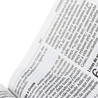 Novo Testamento NAA Letra Gigante: Leitura Confortável e Clara - imagem 5