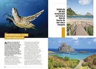 Fernando de Noronha: Seu Guia Completo de 7 Dias para a Ilha Paradisíaca - imagem 5