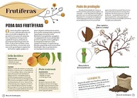 Guia Prático de Jardinagem: Aprenda com Edilson Giacon e Transforme Seu Jardim - imagem 3