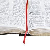 Bíblia de Estudo Pentecostal com Harpa - Couro Preto ARC: Aprofunde Sua Fé - imagem 5