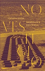 No Vestígio: Desvendando a Negritude e a Existência na História - imagem 2
