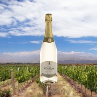 Holiday Espumante Branco Brut Espanhol 750Ml - imagem 2