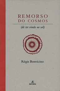 Remorso do Cosmos: Poesia que Explora o Universo e a Existência Humana - imagem 2