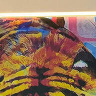 Luminária LED Decorativa: Ilumine Suas Ideias! - imagem 1
