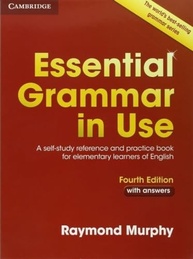 Essential Grammar in Use: Domine o Inglês Essencial com o Guia Definitivo - imagem 2
