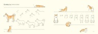 Descubra Como Desenhar Animais: Guia Completo para Iniciantes - imagem 5