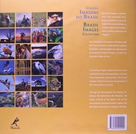 Pantanal: A Majestade da Maior Planície Alagável do Mundo em Imagens e Textos Inspiradores - imagem 3