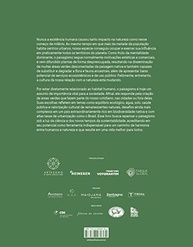 Paisagismo Sustentável no Brasil: Guia Essencial para Integrar Natureza e Humanidade - imagem 3