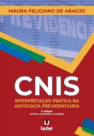 CNIS: Interpretação Prática na Advocacia Previdenciária - Guia Essencial 2ª Edição - imagem 1