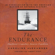 The Endurance: A Incrível Jornada de Sobrevivência na Antártida - imagem 2