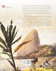História do Rio de Janeiro Através da Arte: Uma Jornada Visual Fascinante - imagem 3