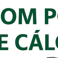 Kit Espelho e Pedra de Cálcio para Calopsitas: Brinquedo Educativo que Atrai e Fortalece - imagem 1