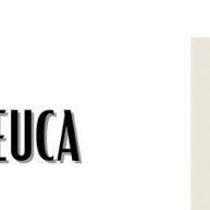 Kit Óleo de Melaleuca + Cravo 20ml | Tratamento Natural para Fungos e Micose - imagem 1