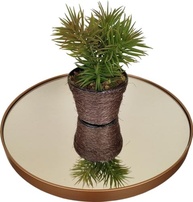 Mesa Lateral Dourada com Tampo de Vidro - Design Elegante e Resistente - imagem 2