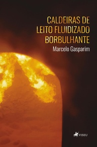 Caldeiras de Leito Fluidizado Borbulhante: Sustentabilidade e Energia com Marcelo Gasparim - imagem 1