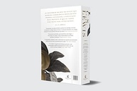 Coleção Essencial C. S. Lewis: Obras Clássicas da Literatura Cristã - imagem 3