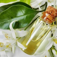 Água de Flor de Laranjeira 250ml Importada do Líbano - Culinária e Cosmética - imagem 1