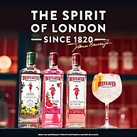 Beefeater Botanics Limão Gengibre: Refrescância Cítrica 750ml - imagem 5
