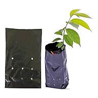 100 Saquinhos Para Mudas: Plante Sem Limites! - imagem 1