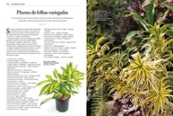 Super Kit 3 Livros: Planta Certa Para o Lugar Certo - Guia Essencial para Jardins Incríveis - imagem 4