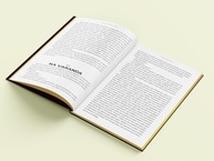 Dom Casmurro Edição de Luxo Almofadada: A Obra-Prima de Machado de Assis - imagem 4