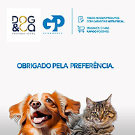 Dog & Co Fast Dry: Secagem Rápida e Pelos Macios! - imagem 2