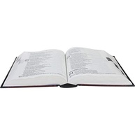 Bíblia Sagrada NAA Letra Maior: Nova Almeida Atualizada para Leitura Clara e Profunda - imagem 3