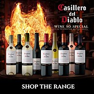 Casillero Del Diablo Malbec: Vinho Tinto Premium 750ml - imagem 3