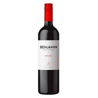 Malbec Benjamin Nieto: O Vinho Argentino Perfeito - imagem 1
