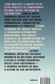 Raul Seixas: A Biografia Definitiva do Maluco Beleza - imagem 3