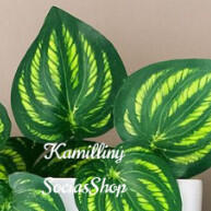 Planta Decorativa com Vaso Branco G: Elegância Sem Manutenção - imagem 1