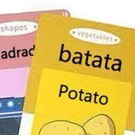 Máquina de Cartões Falante: Aprenda Inglês e Português! - imagem 1