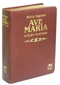 Bíblia Ilustrada Luxo Marrom Média: Edição Especial com Pinturas Clássicas - imagem 2