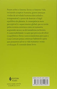 Sustentabilidade: Desvendando o Conceito Essencial para um Futuro Melhor - imagem 3