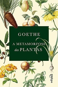 A Metamorfose das Plantas: A Teoria Revolucionária de Goethe - imagem 2